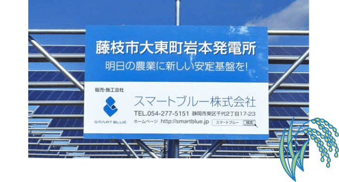 静岡県内初の稲作ソーラーシェアリング