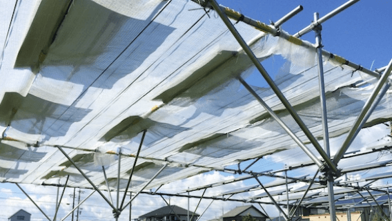 ソーラーシェアリング実験風景