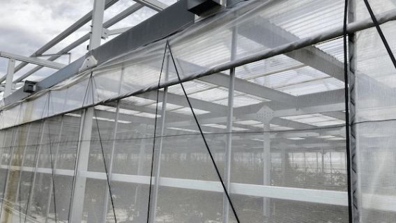 ハウス型ソーラーシェアリング架台写真