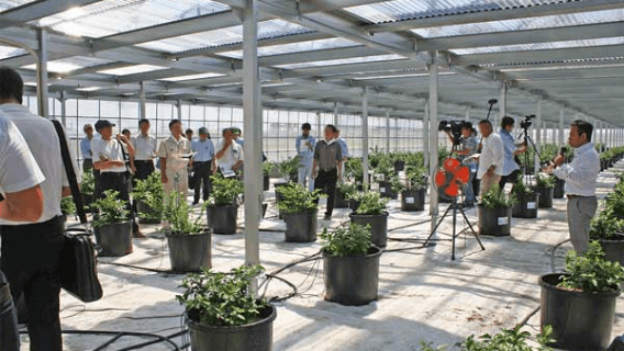 いわた農場の視察風景