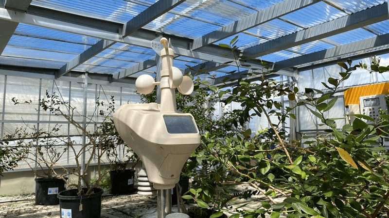 ICT環境センシング｜スマートブルーいわた農場