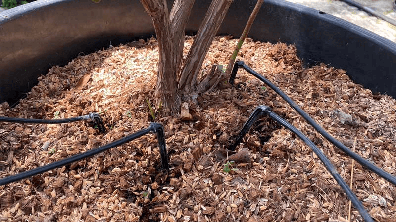 点滴灌水システム｜スマートブルーいわた農場