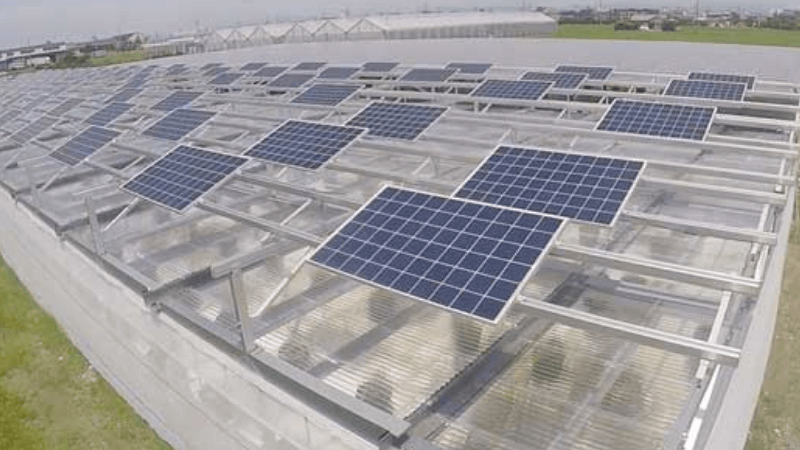 ソーラーシェアリングの架台を用いたハウス施設｜スマートブルーいわた農場