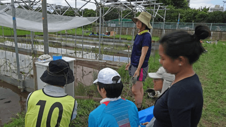 東京大学とのソーラーシェアリング共同研究風景