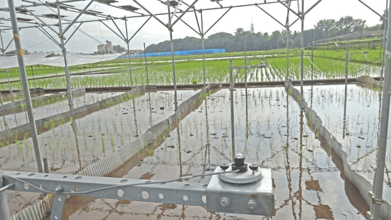 東京大学とのソーラーシェアリング共同研究圃場のセンサー