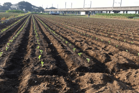 畑｜農地条件別ソーラーシェアリング施工実績