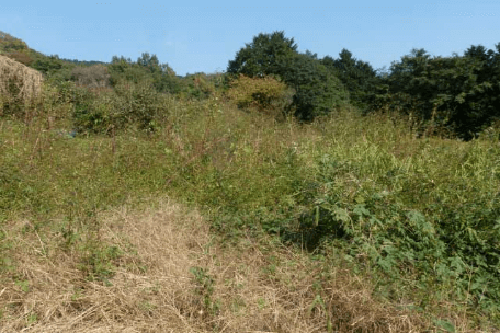 耕作放棄地｜農地条件別ソーラーシェアリング施工実績