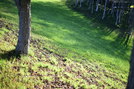 斜面｜農地条件別ソーラーシェアリング施工実績