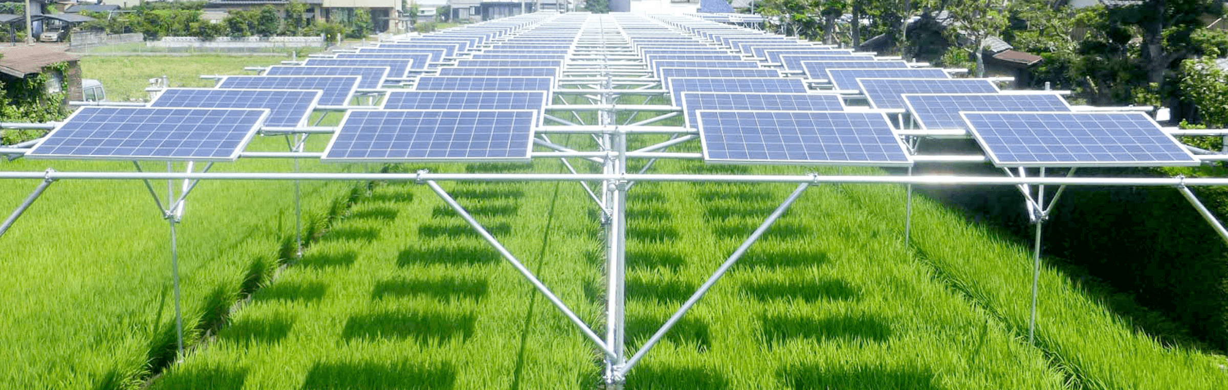 ソーラーシェアリング（営農型太陽光発電）とは