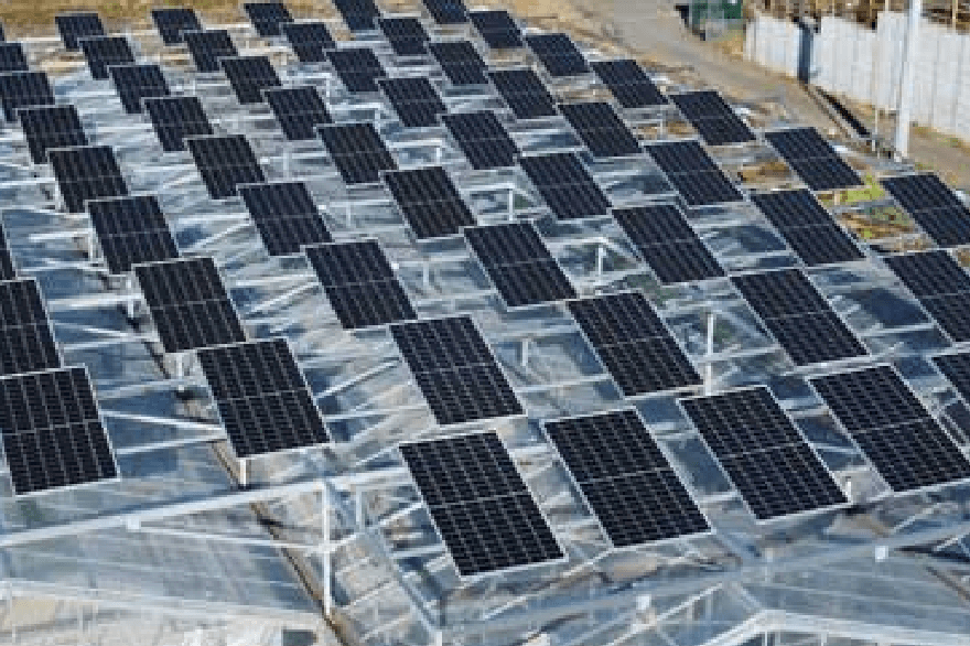 完全自家消費の環境配慮型ソーラーシェアリング｜スマートブルー茅ヶ崎農場