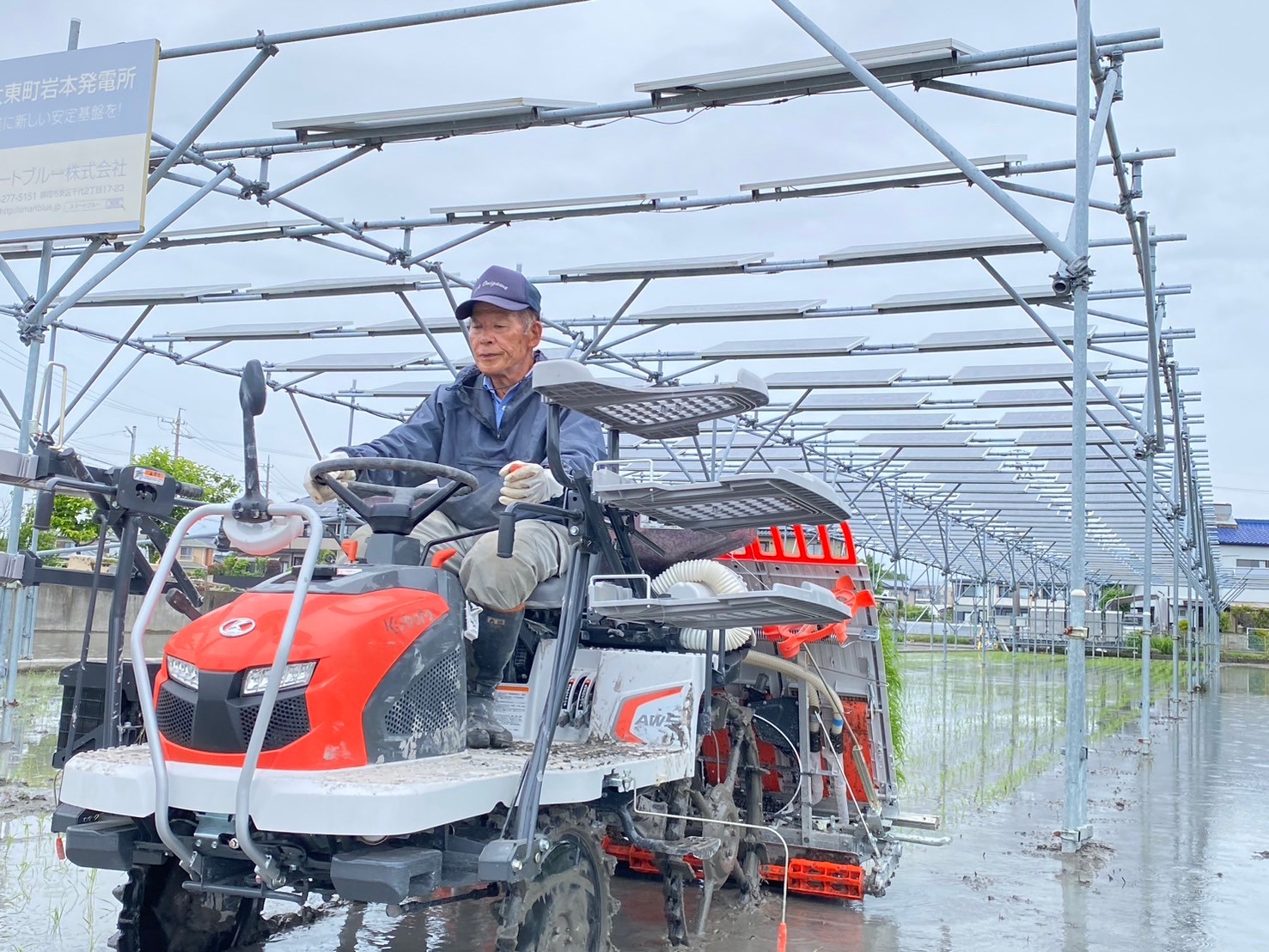 10年目】今年も田植えの季節がやってきました。 | スマートブルー