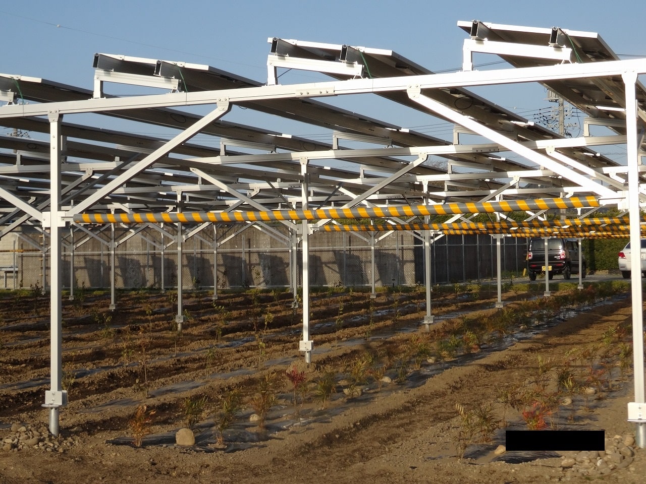 ソーラーシェアリング（営農型太陽光発電）設置事例｜山佐の庭様